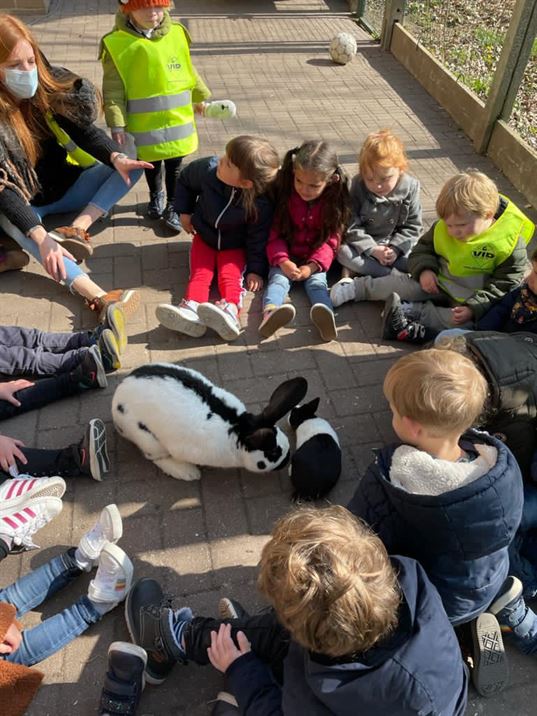Klas 1KC (juf Sophie) op bezoek bij de konijntjes