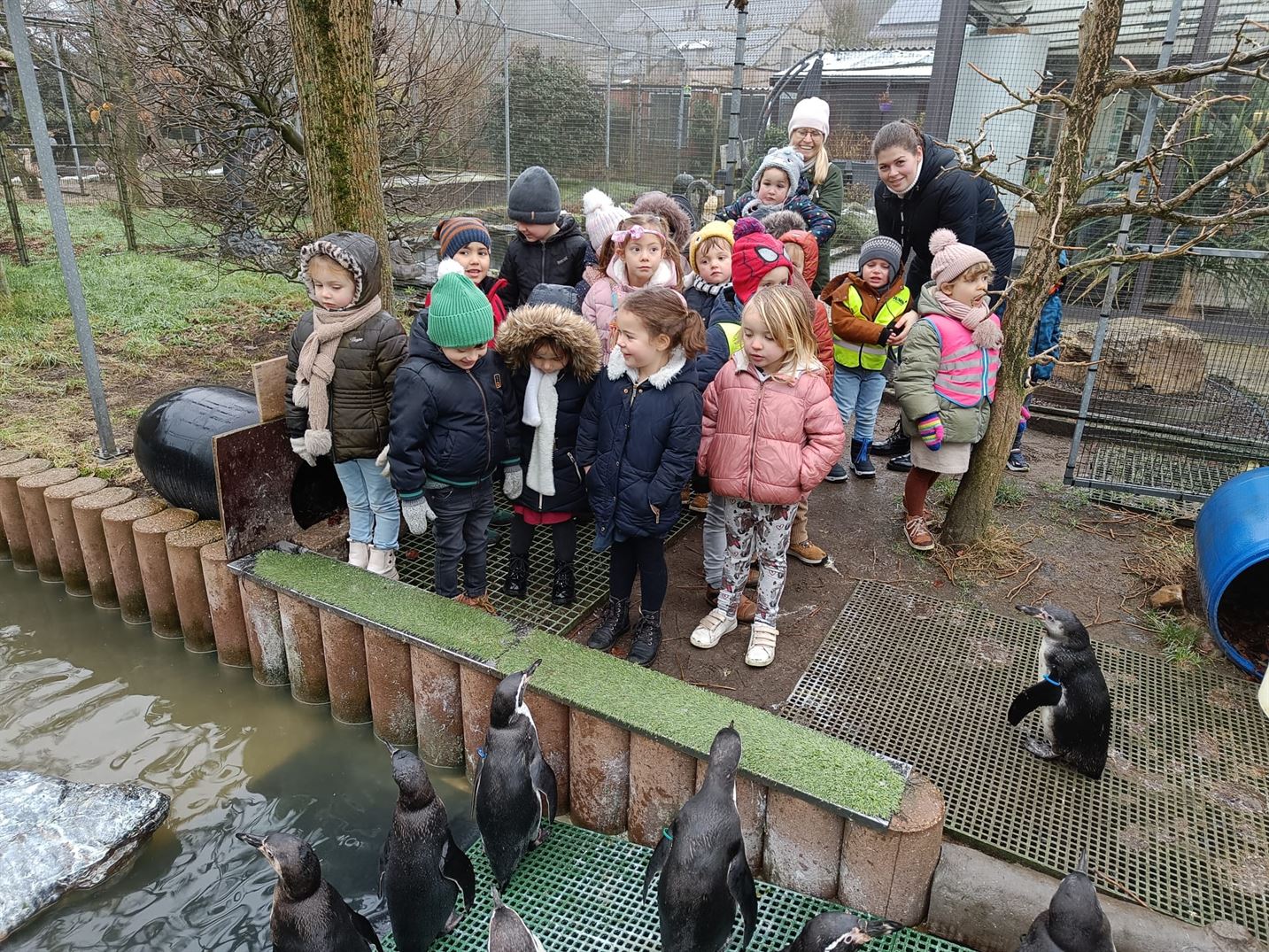 484A6F4C 087E 4677 9F4A 0EEC43AC1F03