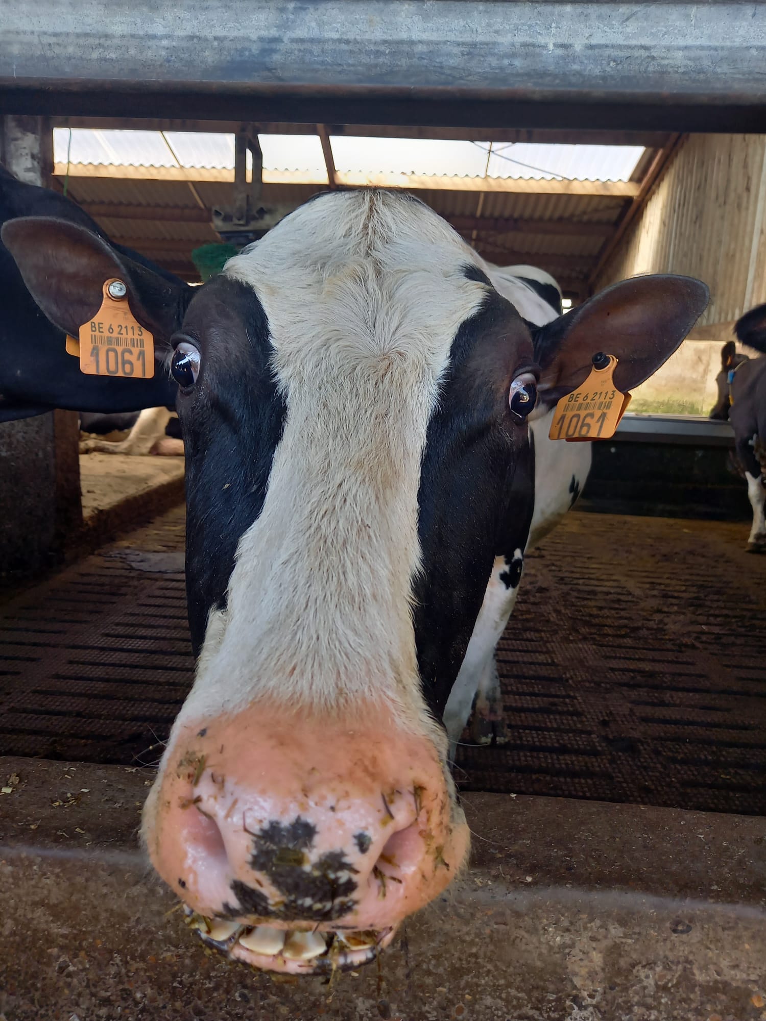 BinnenBijBoerendag L5