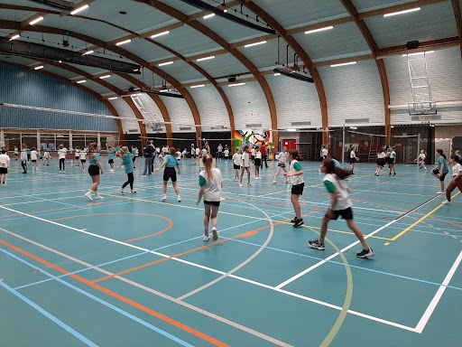 Netbaltoernooi L5